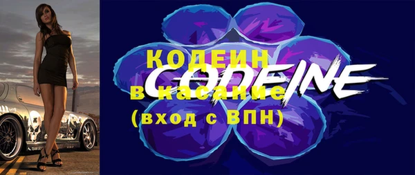молекула духа Белоозёрский