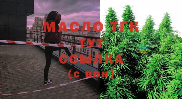 молекула духа Белоозёрский