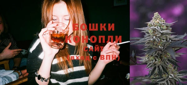 молекула духа Белоозёрский
