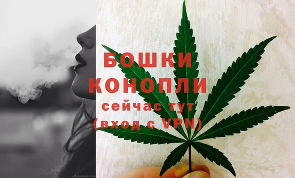 mdpv Белокуриха